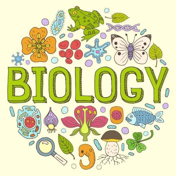 Bio